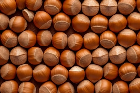 Hazelnut Fragrance Oil