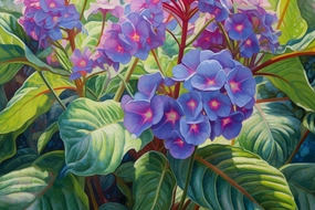 Heliotrope Fragrance Oil