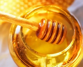 Honey - Premium Fragrance Oil