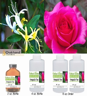 Honeysuckle Rose Fragrance Oil