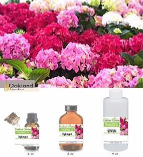 Hydrangea Fragrance Oil