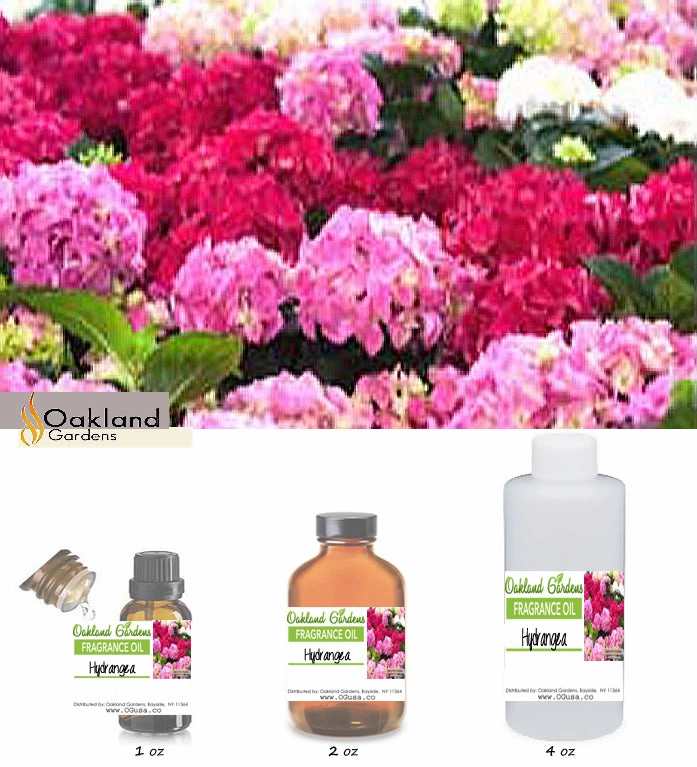 Hydrangea Fragrance Oil