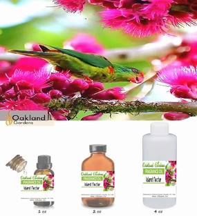 Island Nectar Fragrance Oil
