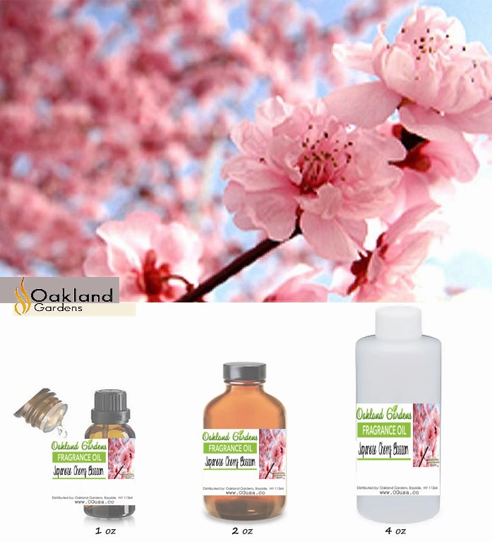 Japanese Cherry Blossom Fragrance Oil   (EO Infused)