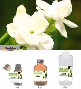 Jasmine Fragrance Oil   (EO Infused)