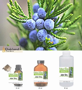 Juniper Berry Fragrance Oil
