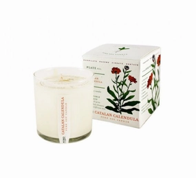 Kobo Catalan Calendula Candle with Plantable Box
