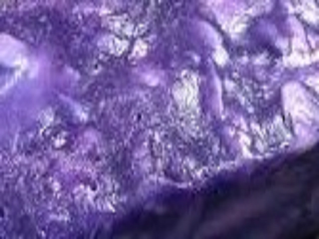 Lady Catrina by Lush Type Fragrance Oil