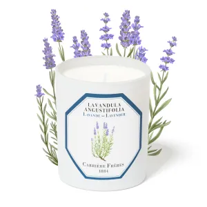 Lavender Candle