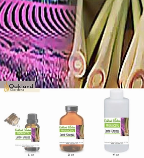 Lavender & Lemongrass Fragrance Oil