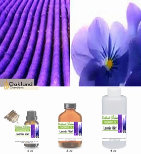 Lavender Violet Fragrance Oil