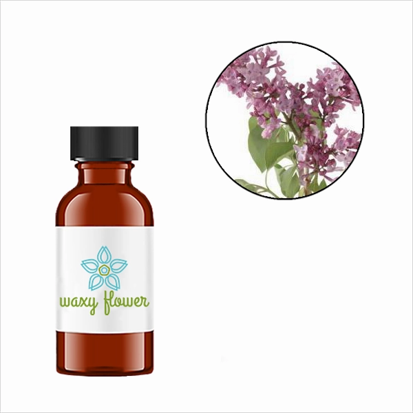 Lilac Blossom