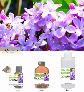 Lilac in Bloom Fragrance Oil