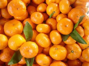 Lime Basil Mandarin by Jo Malone Type Fragrance Oil