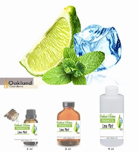 Lime Mint Fragrance Oil