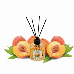 Lion Francesco Peach