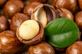 Macadamia Nutmeg - Premium Fragrance Oil