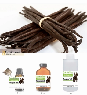 Madagascar Vanilla Fragrance Oil (EO Infused)