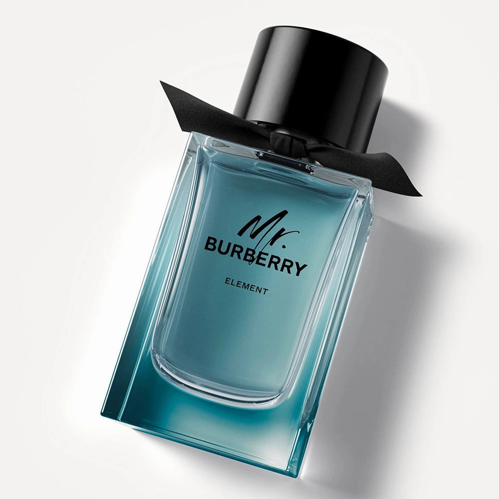 Mr. Burberry Element 5.0 oz EDT for men
