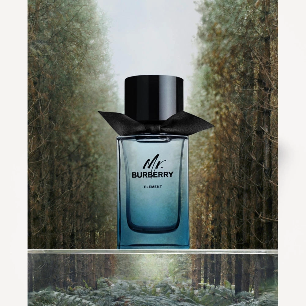 Mr. Burberry Element 5.0 oz EDT for men