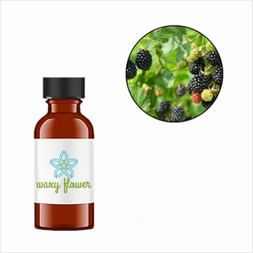 Mulberry
