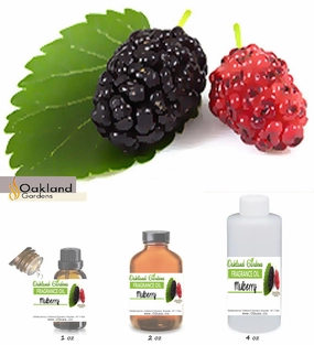 Mulberry Fragrance Oil