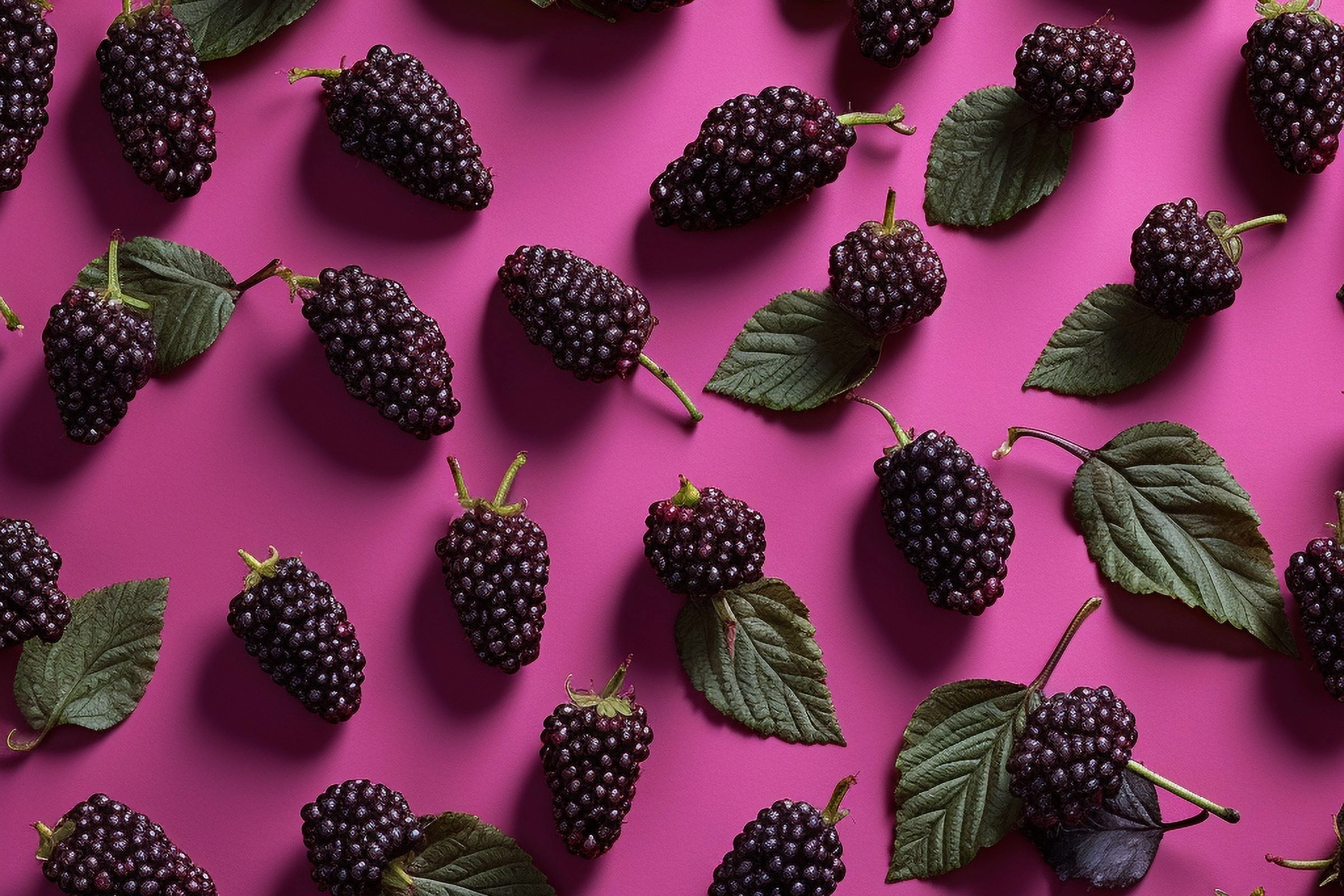 Mulberry Fragrance Oil