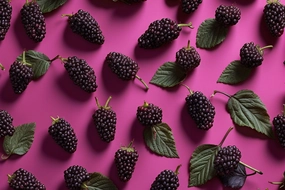 Mulberry Fragrance Oil