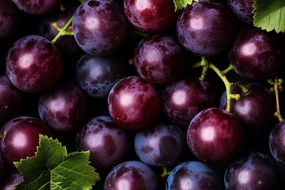 Muscadine Fragrance Oil- Discontinuing