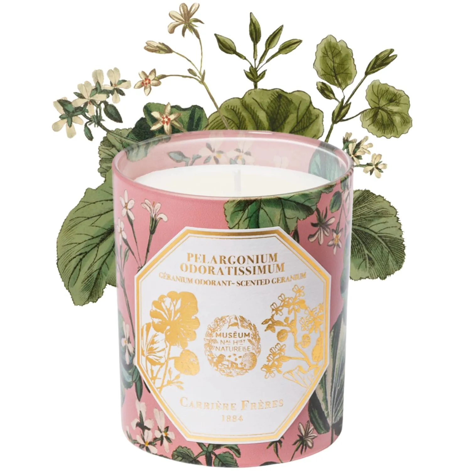 Natural History Museum Geranium Candle