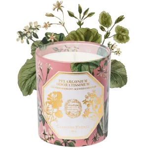 Natural History Museum Geranium Candle