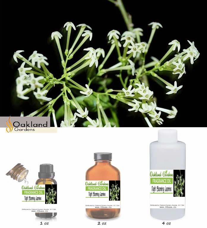 Night Blooming Jasmine Fragrance Oil