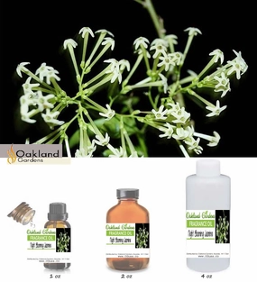 Night Blooming Jasmine Fragrance Oil