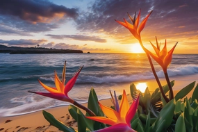 Oahu Coconut Sunset BBW Type Fragrance Oil