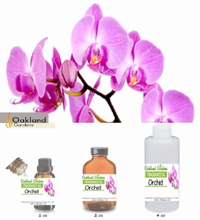Orchid Fragrance Oil