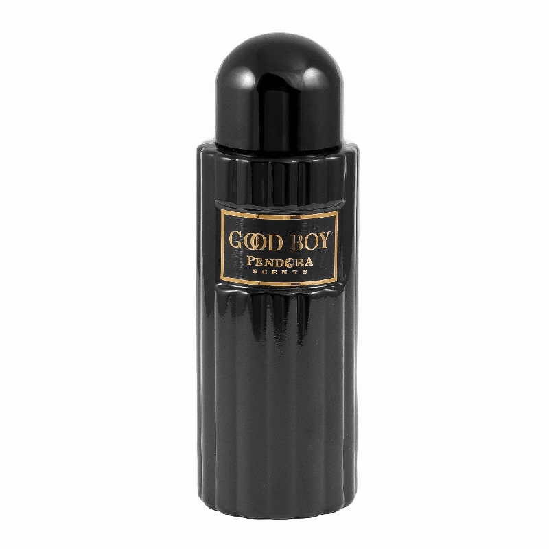 PENDORA SCENT Good Boy Paris parfumuotas vanduo vyrams 100ml