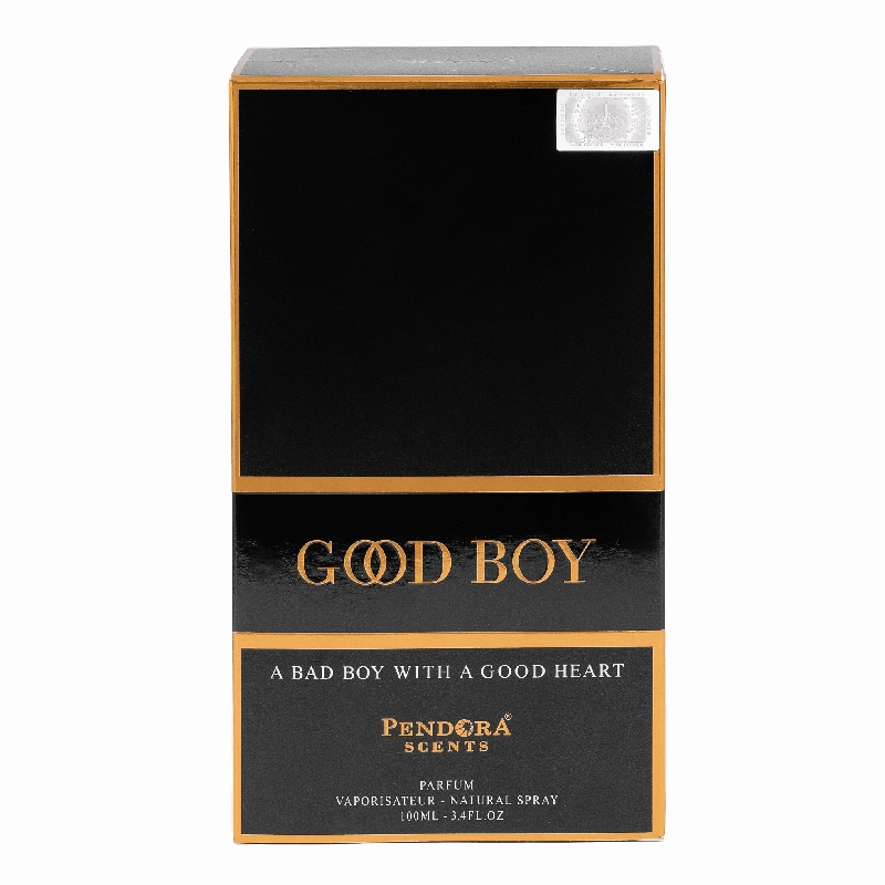 PENDORA SCENT Good Boy Paris parfumuotas vanduo vyrams 100ml