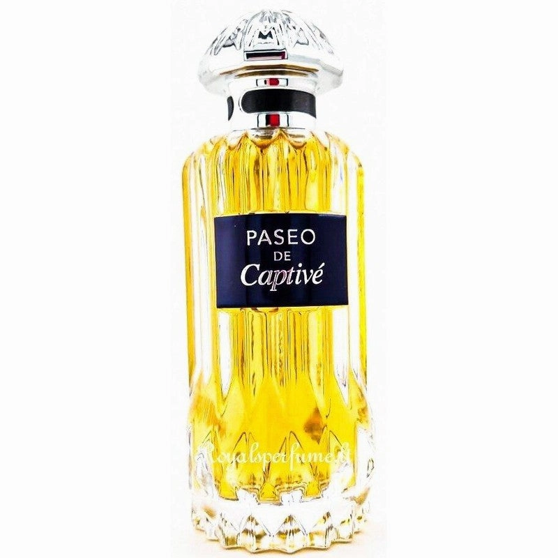 PENDORA SCENTS Paseo De Captive parfumuotas vanduo vyrams 100ml