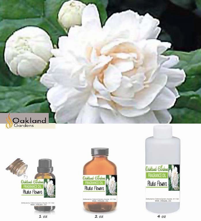 Pikake Flowers Fragrance Oil