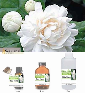 Pikake Flowers Fragrance Oil