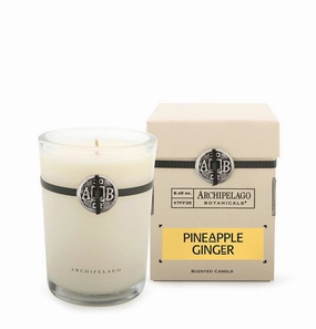 Pineapple Ginger Boxed Candle