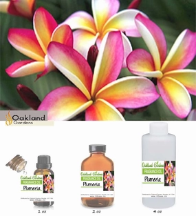 Plumeria Fragrance Oil   (EO Infused)