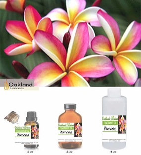 Plumeria Fragrance Oil   (EO Infused)