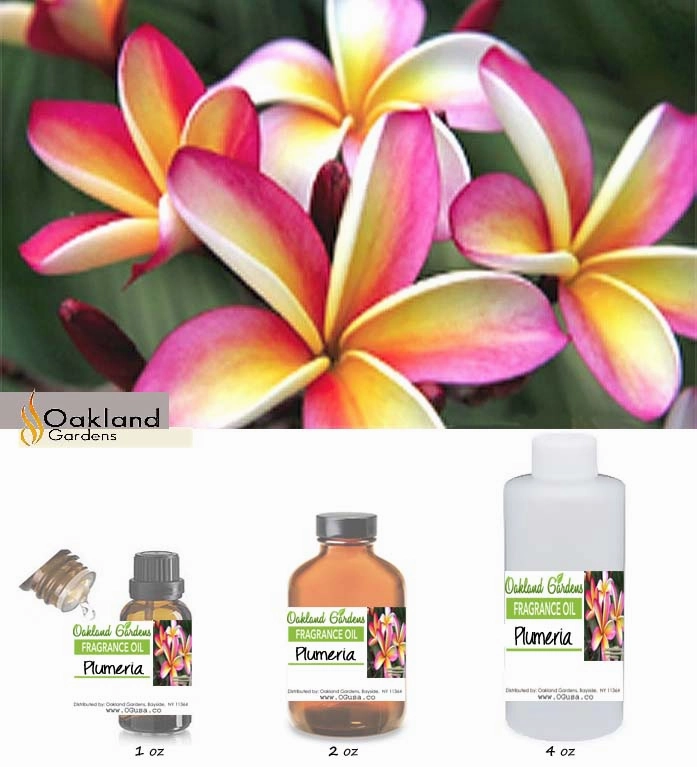 Plumeria Fragrance Oil   (EO Infused)
