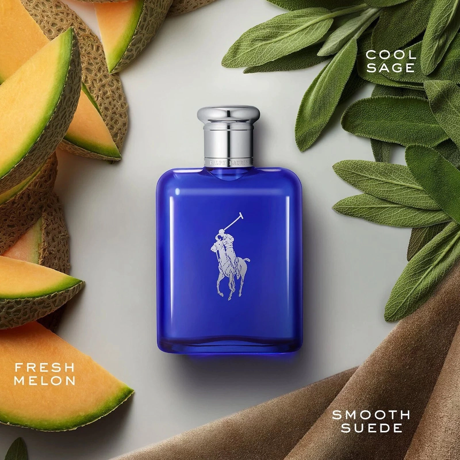 Polo Blue 2.5 oz EDT for men