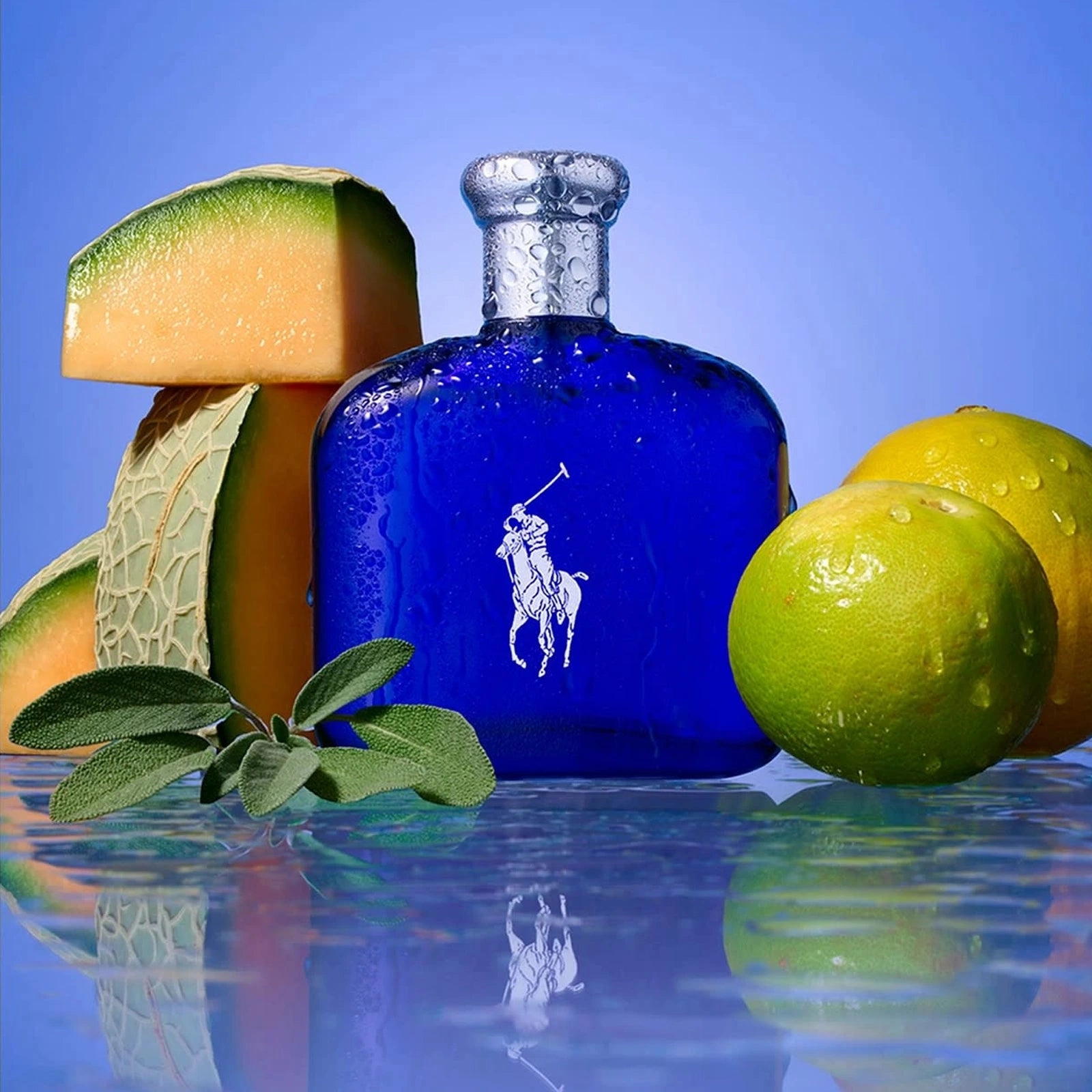 Polo Blue 2.5 oz EDT for men