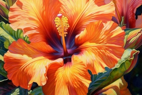 Polynesian Hibiscus Fragrance Oil
