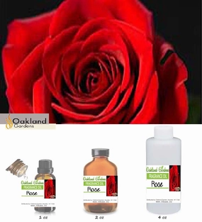 Rose Fragrance Oil