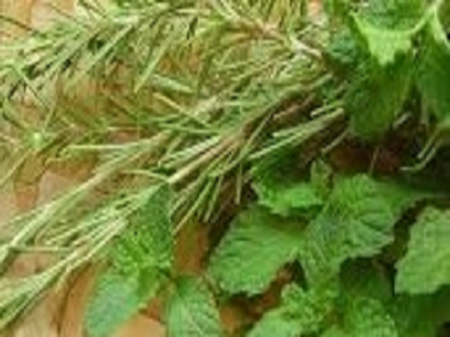 Rosemary & Mint Type Fragrance Oil