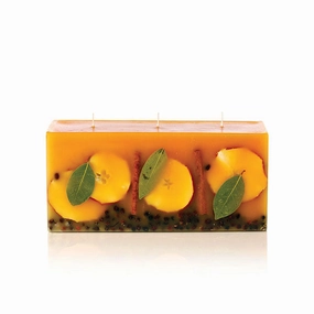 Rosy Rings 3 Wick Brick Botanical Candle ??C Spicy Apple